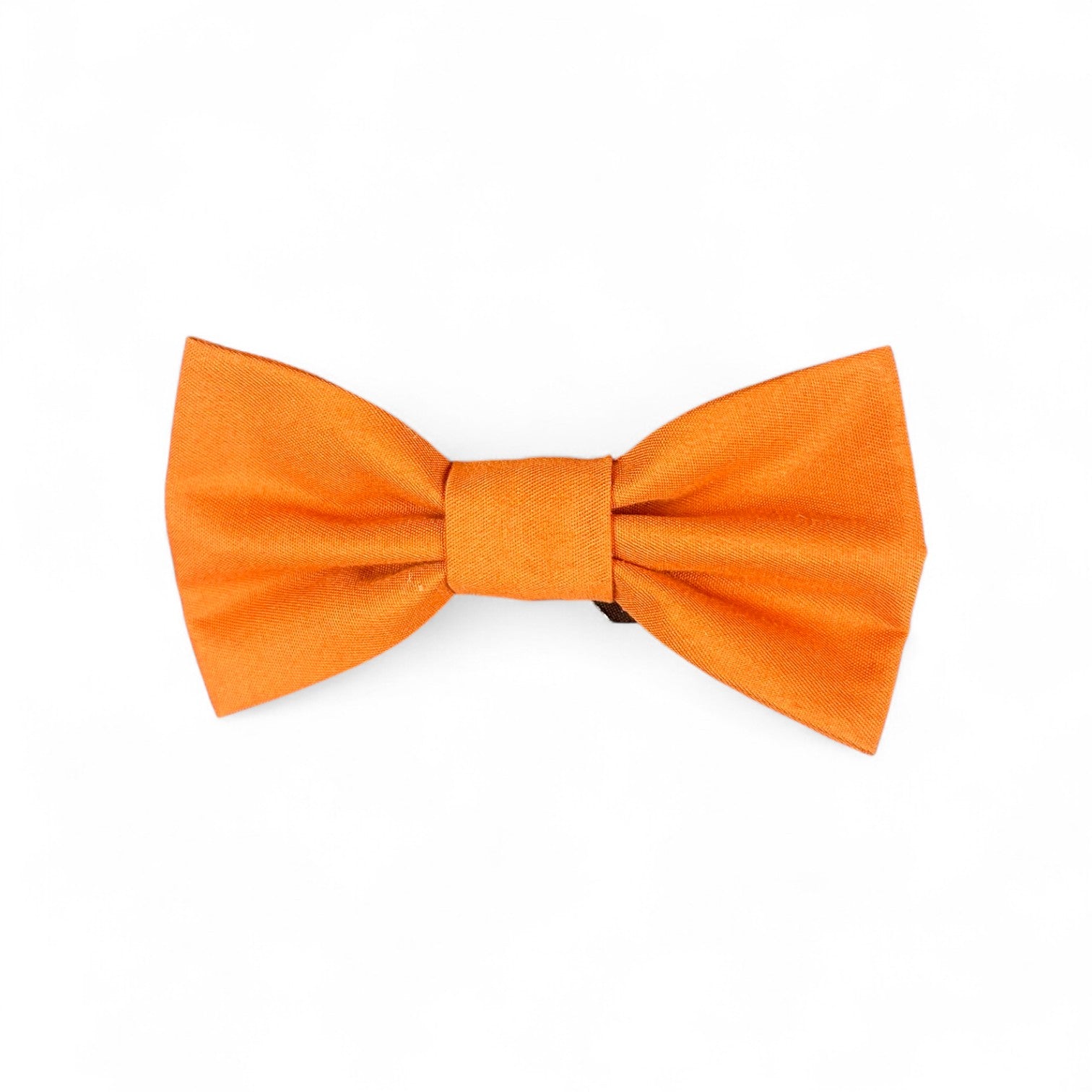 Large Bow Tie