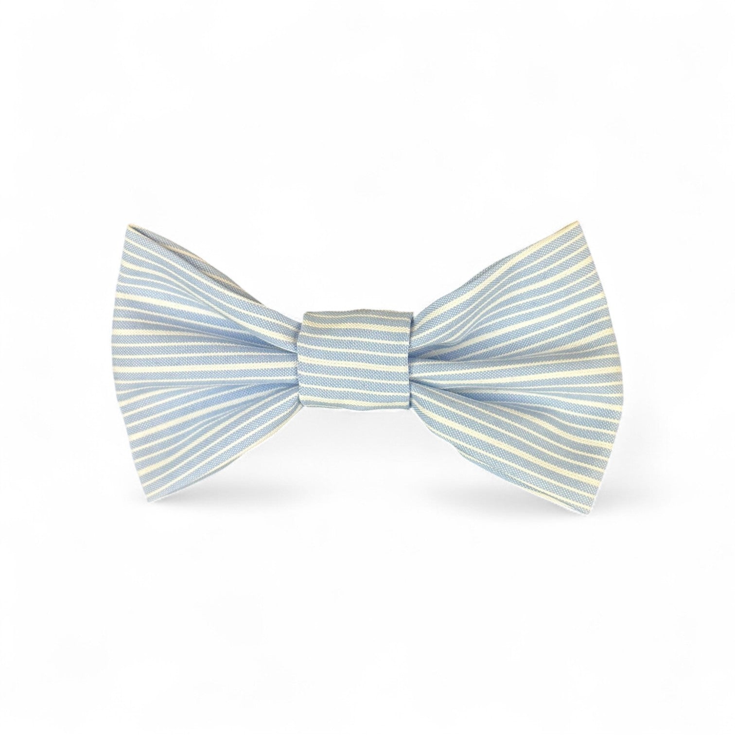 Small Bow Tie