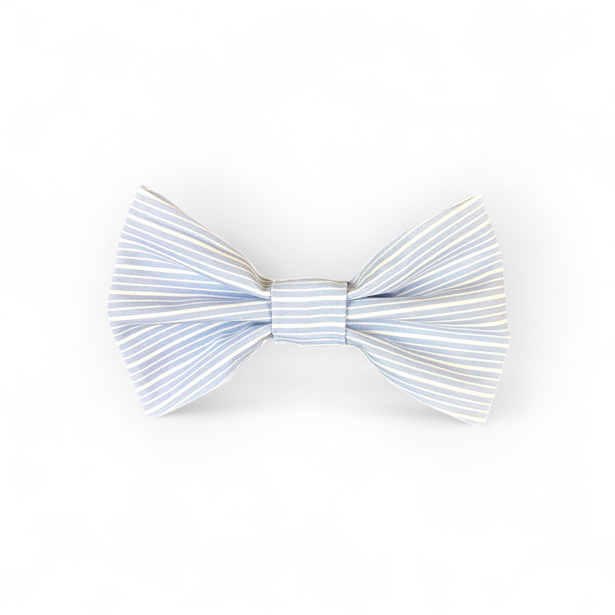 Medium Bow Tie