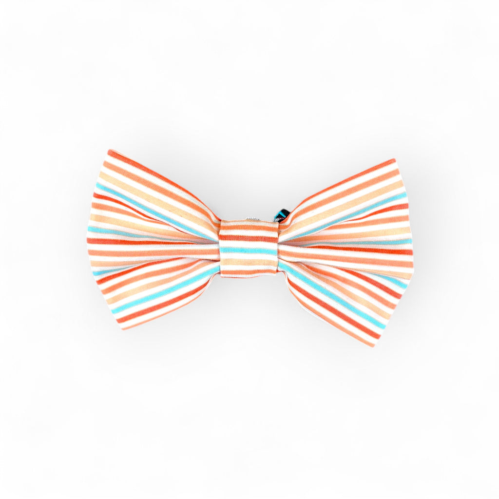 Medium Bow Tie