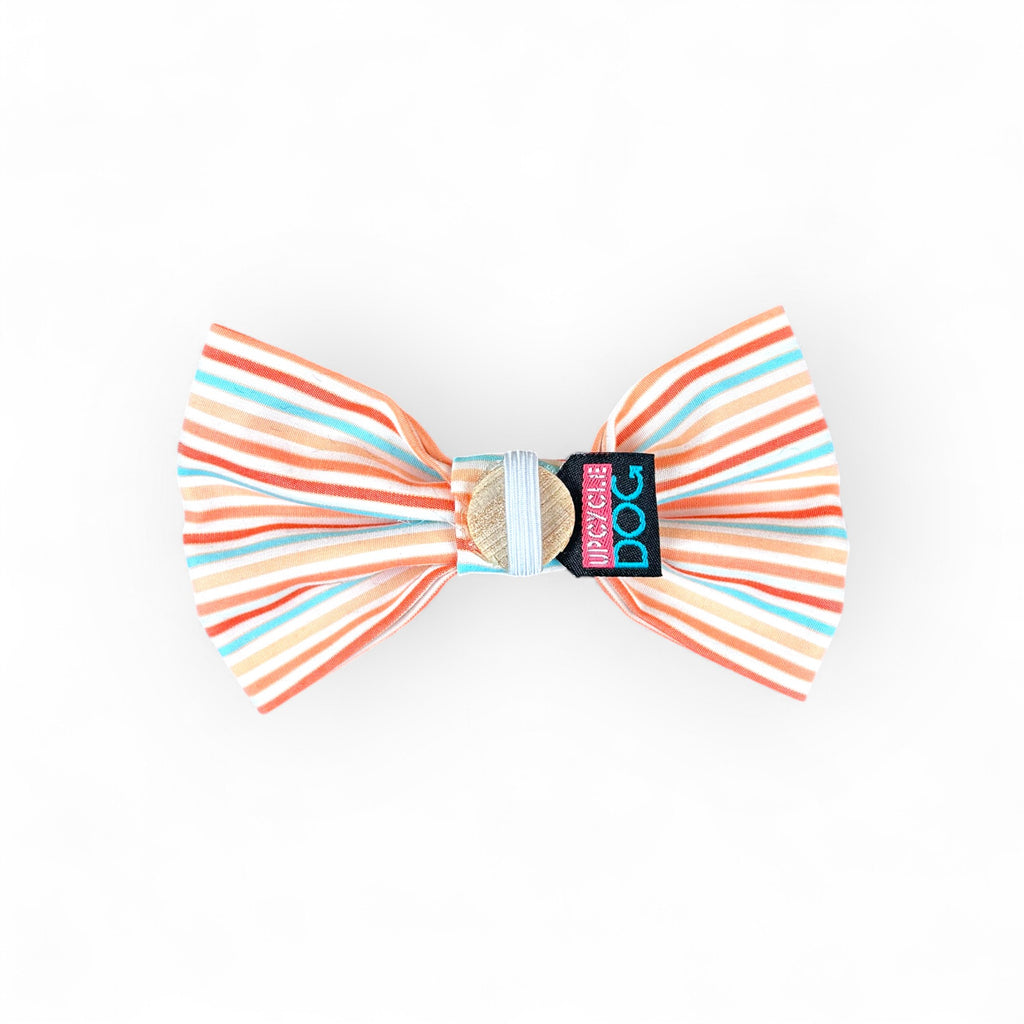 Medium Bow Tie