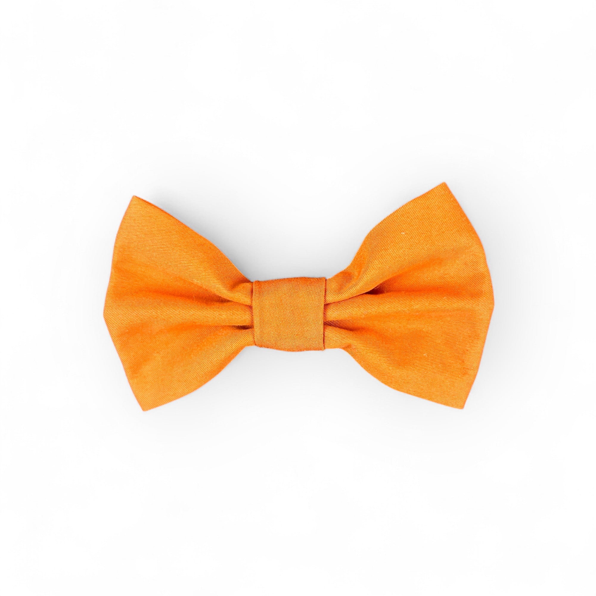 Medium Bow Tie