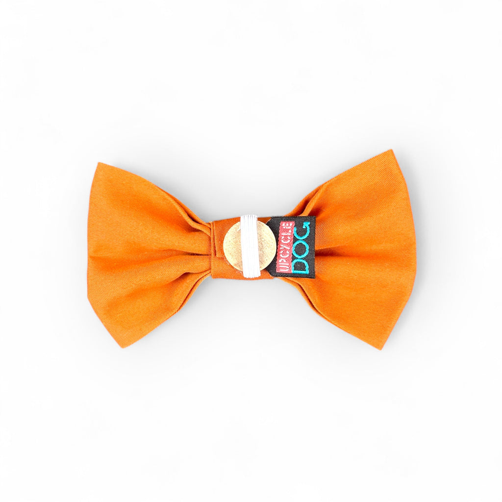 Medium Bow Tie