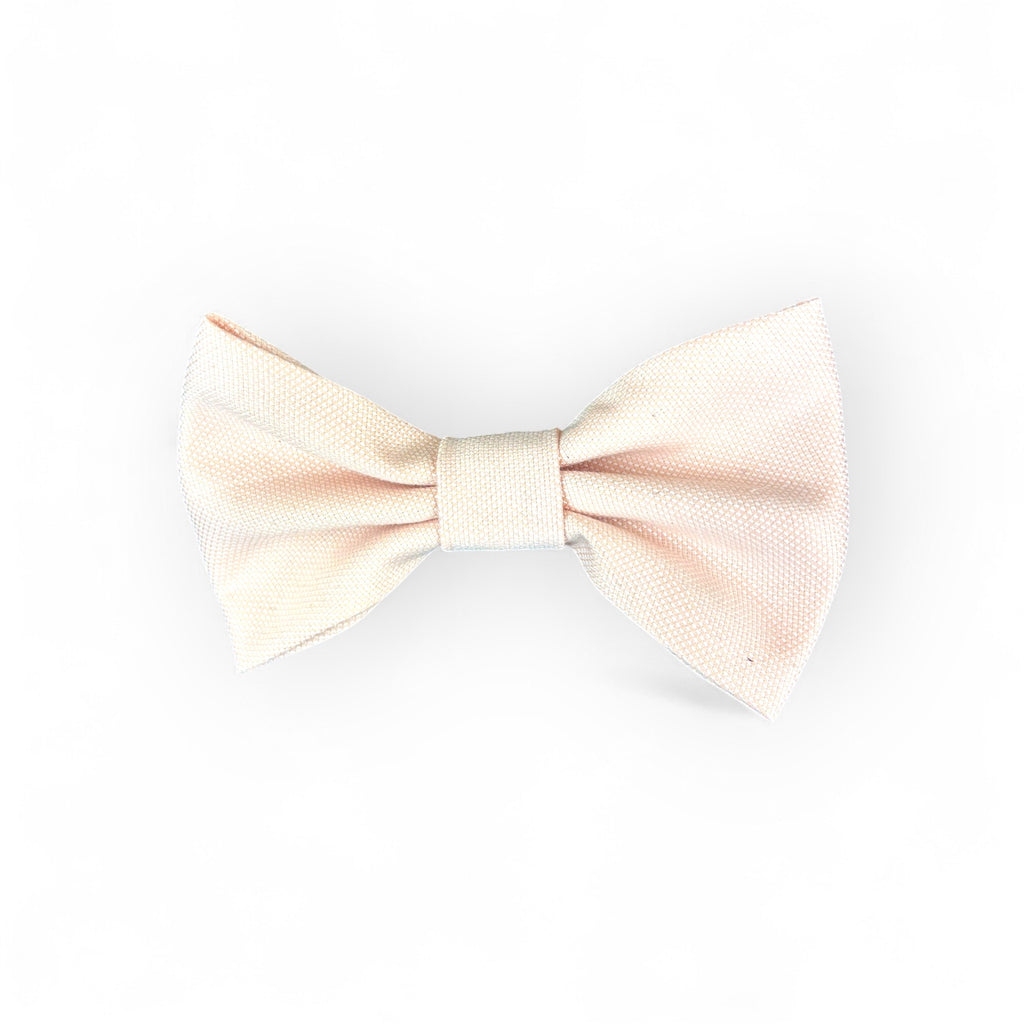 Medium Bow Tie