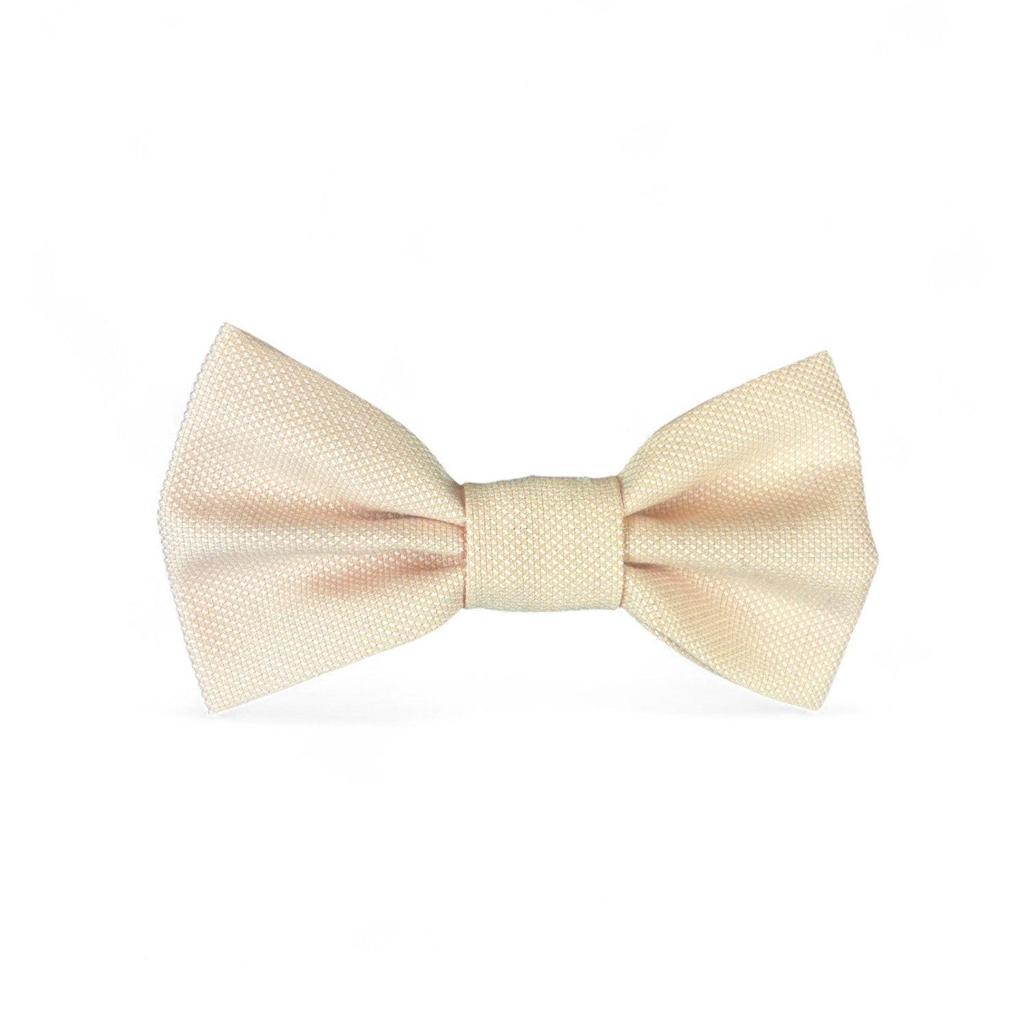 Small Bow Tie