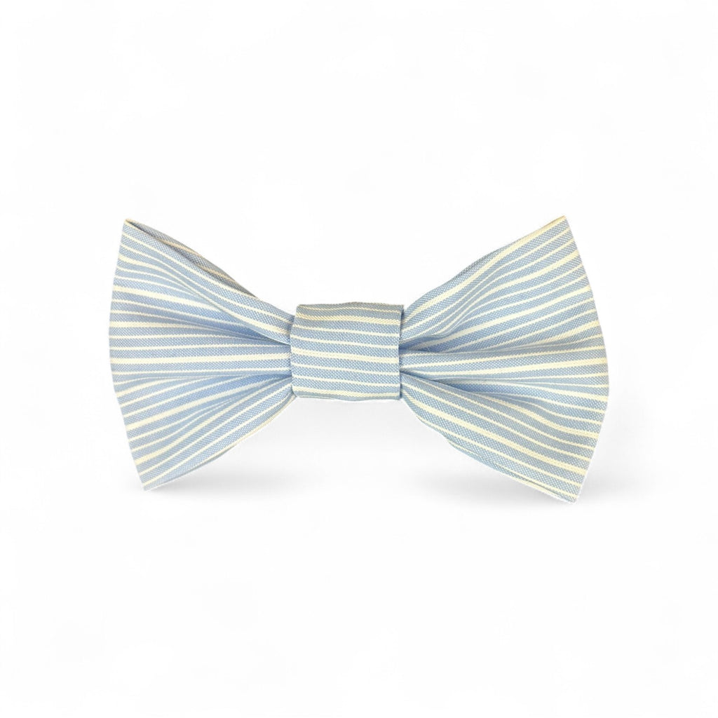 Small Bow Tie