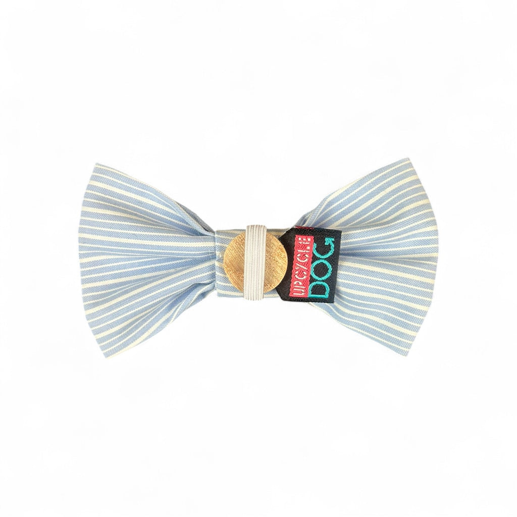 Small Bow Tie