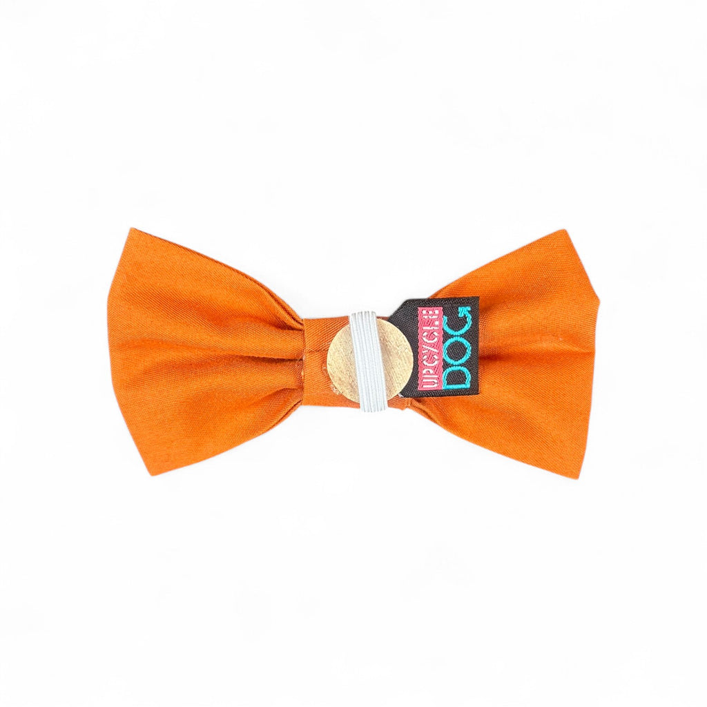 Small Bow Tie