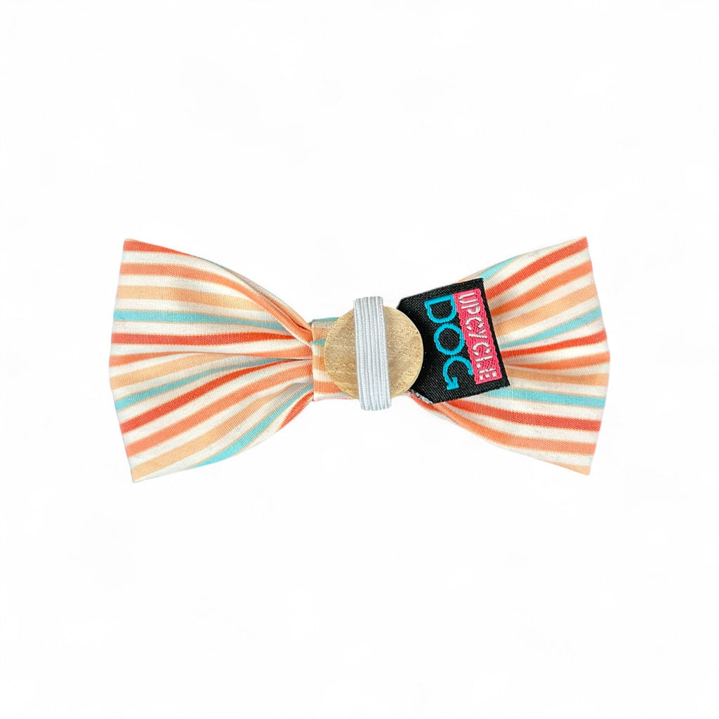 XS Bow Tie