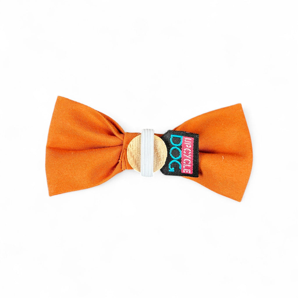 XS Bow Tie
