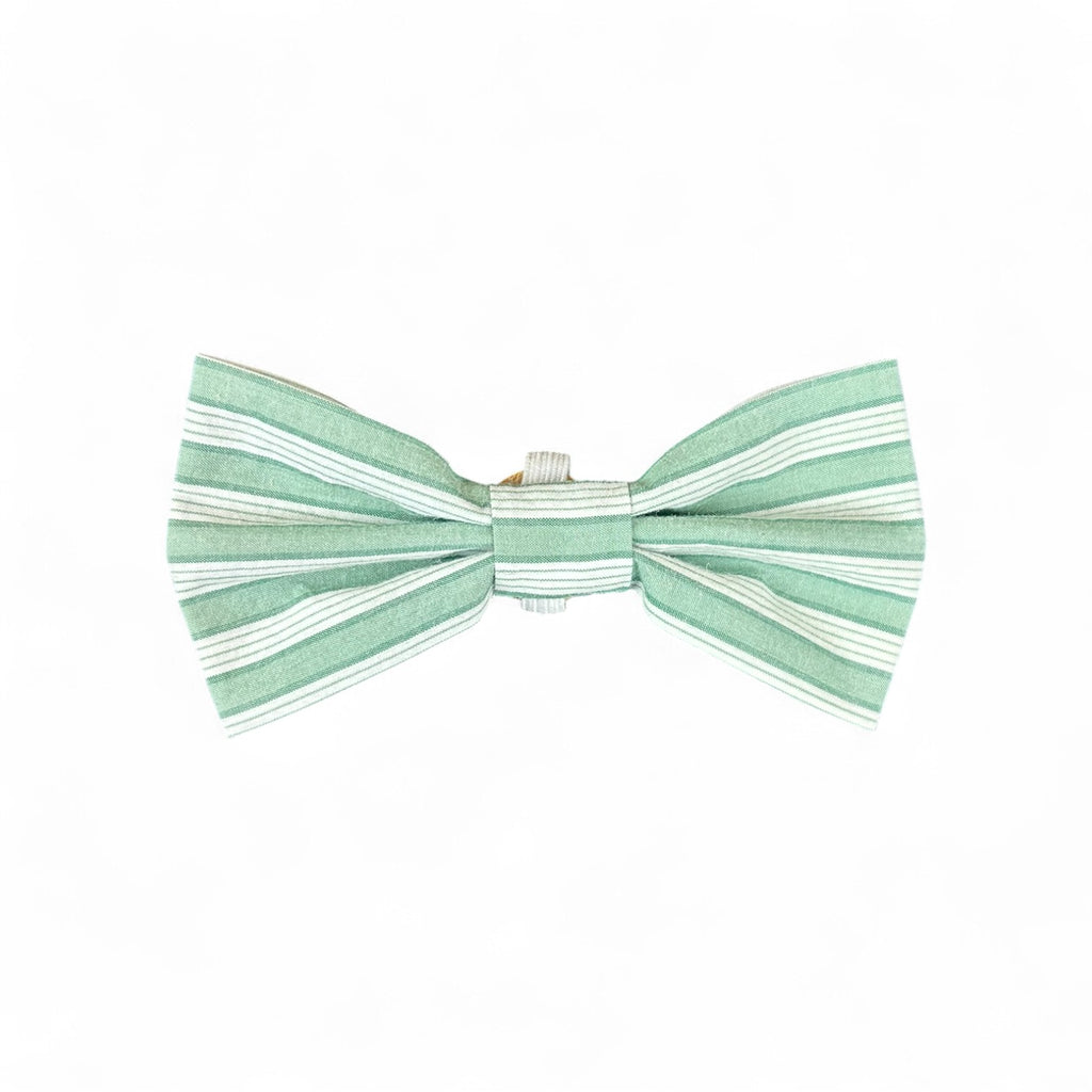 XS Bow Tie